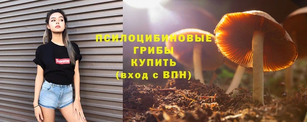 герыч Бугульма