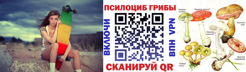 где купить наркоту  Вязники  Псилоцибиновые грибы ЛСД 