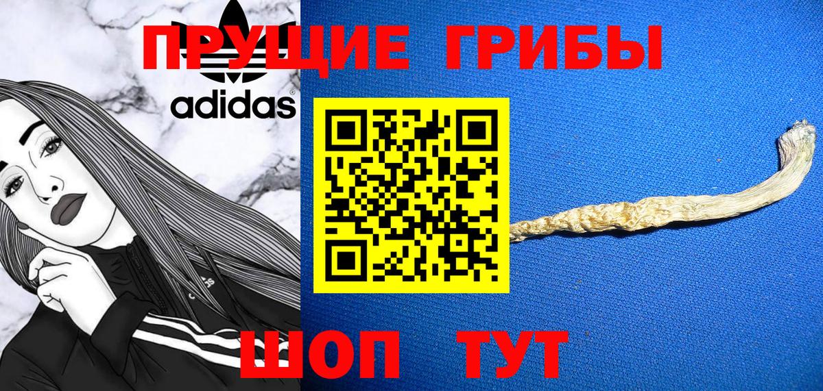 Псилоцибиновые грибы ЛСД  Вход с VPN  купить наркотик  Вязники  Галлюциногенные грибы прущие грибы 