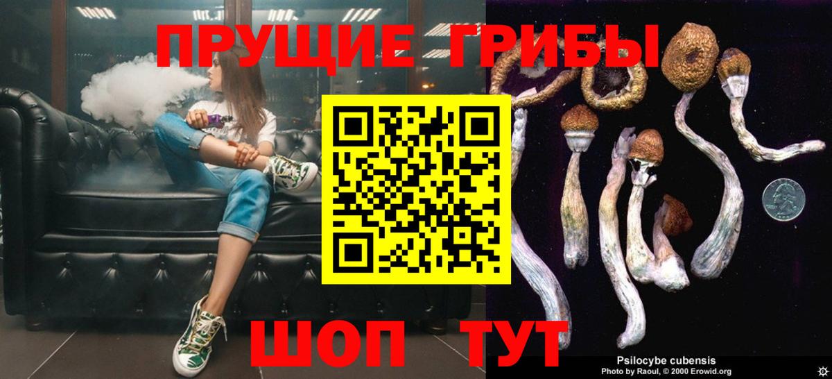 Псилоцибиновые грибы MAGIC MUSHROOMS Вязники