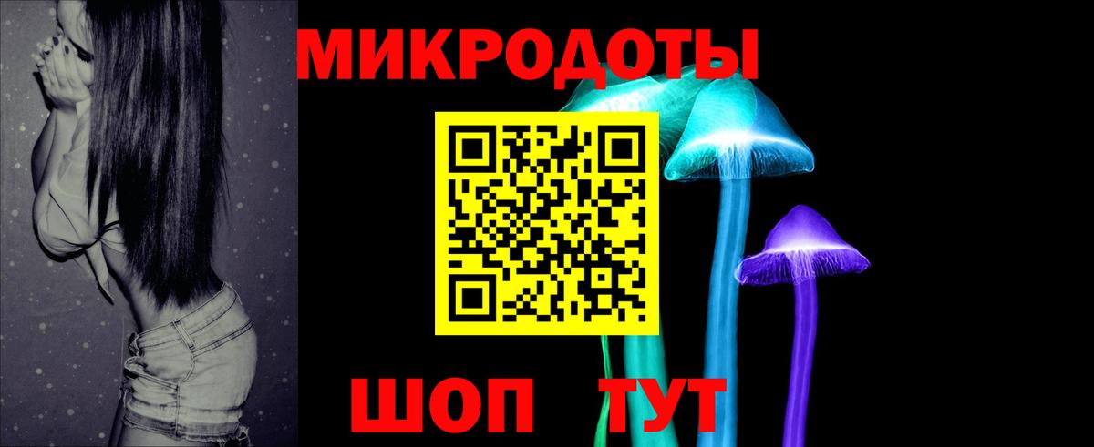 Псилоцибиновые грибы Psilocybine cubensis Вязники