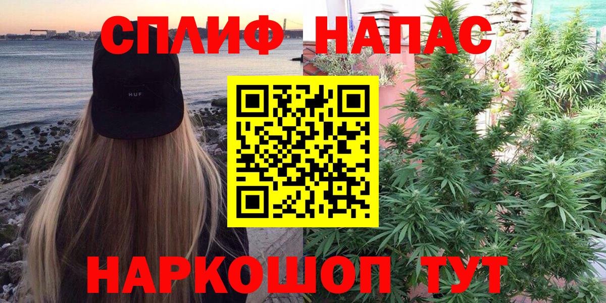 Конопля индика Вязники